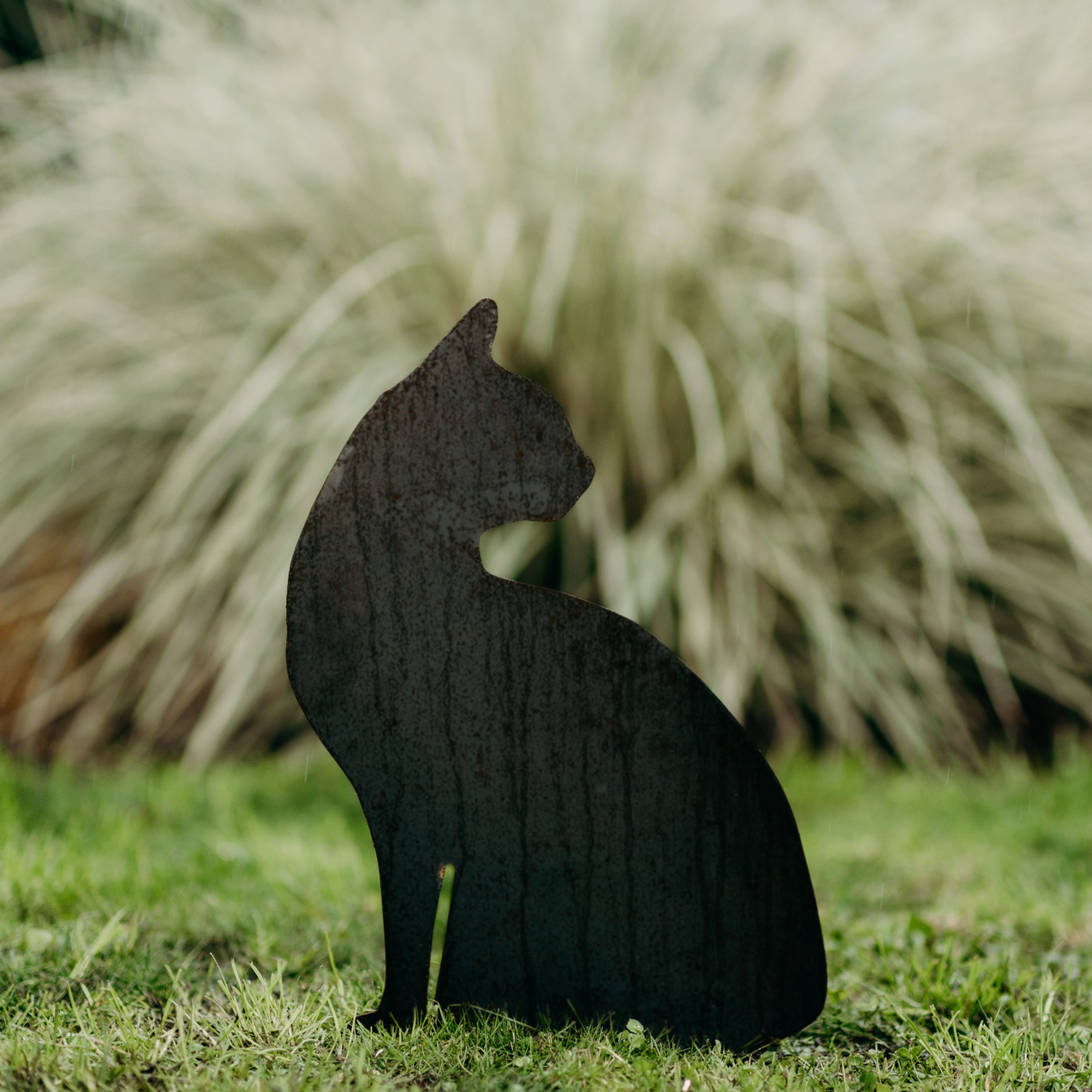 Cats - Rusty Deer